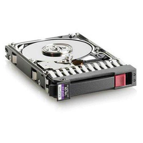 627117-B21 (300GB 15k HotPlug 2.5 6G SAS HDD DP)