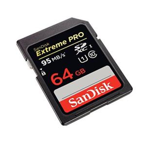SANDISK フラッシュカード SDSDXP...の詳細画像2