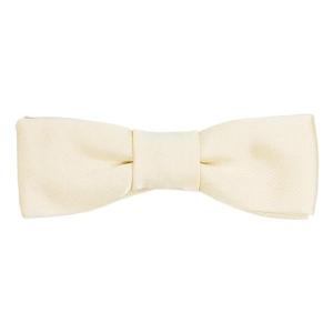 DOLCE&GABBANA ドルチェ＆ガッバーナ 蝶ネクタイ dg-c-63