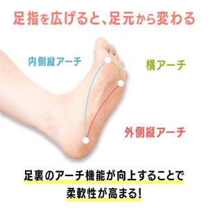 外反母趾対策用品 足ゆび元気くん 外反母趾サポ...の詳細画像5
