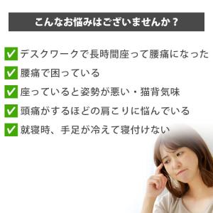 腰痛 姿勢矯正クッション NEW マルチレスト...の詳細画像5