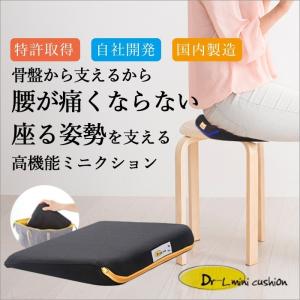 ドクターエル ミニ クッション 腰痛 腰痛対策...の詳細画像2