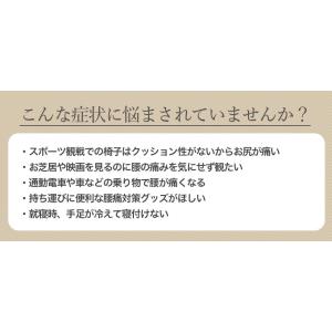 ドクターエル ミニ クッション 腰痛 腰痛対策...の詳細画像4