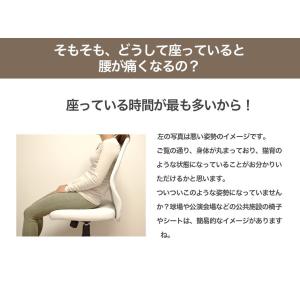 ドクターエル ミニ クッション 腰痛 腰痛対策...の詳細画像5