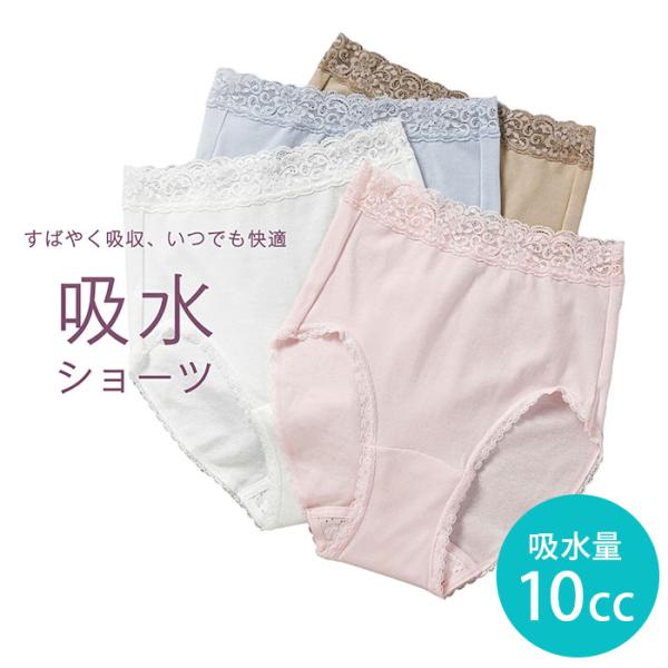 ウェルドライ 10cc 軽失禁対策ショーツ 女性用 吸水量10cc ウエルドライ 安心ショーツ 日本...