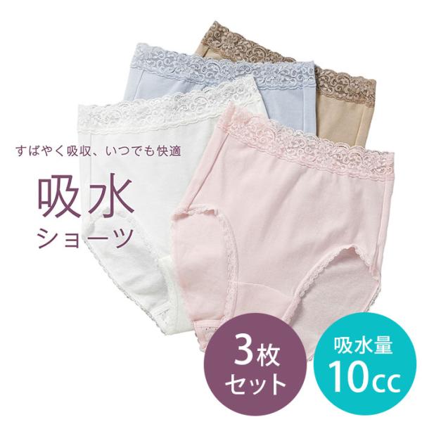 【3枚セット】ウェルドライ 10cc 軽失禁対策ショーツ 女性用 吸水量10cc ウエルドライ 安心...