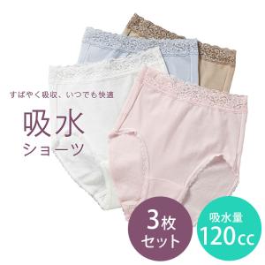 【3枚セット】ウェルドライ 120cc 軽失禁対策ショーツ 女性用 吸水量120cc ウエルドライ 安心ショーツ 日本製 吸水速乾 尿漏れ 横漏れガード 尿もれパンツ 下着