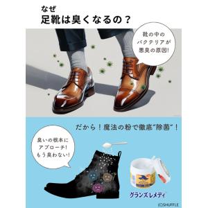 3個セット 靴用消臭剤 グランズレメディ 50...の詳細画像5