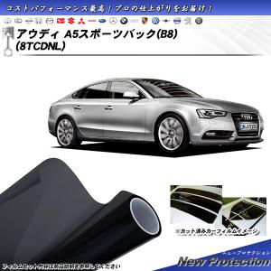 アウディ A5 スポーツバック (B8) (8TCDNL) ニュープロテクション カット済みカーフィルム リアセット