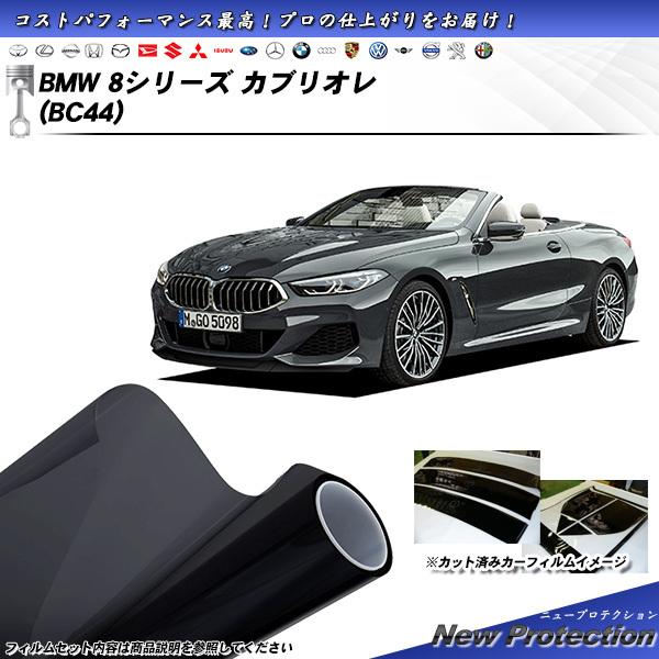 BMW Z4 (G29) (HF20/HF30) ニュープロテクション カット済みカーフィルム リア...