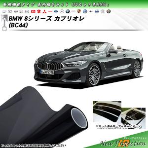 BMW Z4 (G29) (HF20/HF30) IRニュープロテクション カット済みカーフィルム リアセット