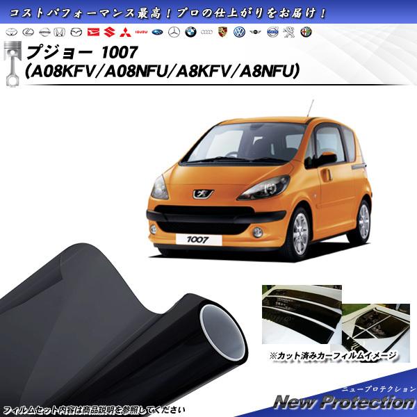 プジョー 1007 (A08KFV/A08NFU/A8KFV/A8NFU) ニュープロテクション カ...