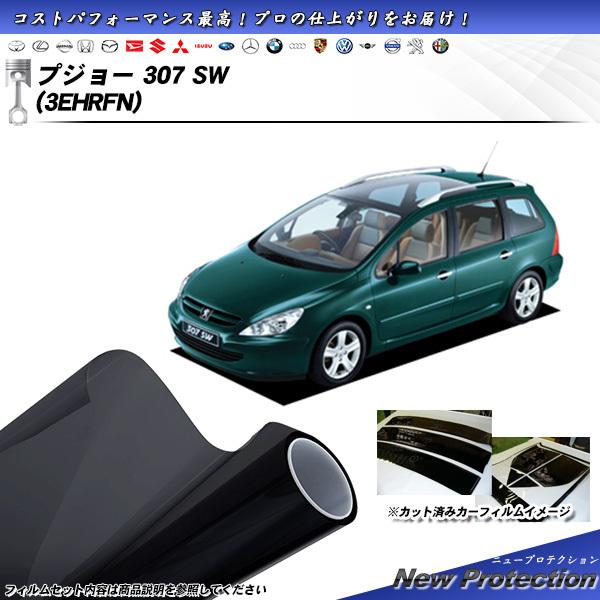 プジョー 307 SW (3EHRFN) ニュープロテクション カット済みカーフィルム リアセット