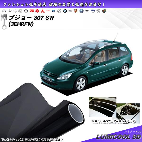 プジョー 307 SW (3EHRFN) ルミクールSD カット済みカーフィルム リアセット