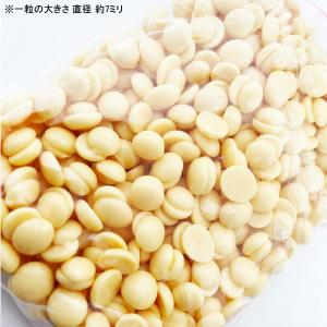 ブラジリアンワックス 50g ノーズスティック...の詳細画像3