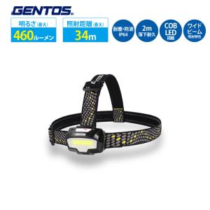 冨士灯器 冨士灯器 ゼクサス LEDヘッドライト ZX-240 PR（フェニックス