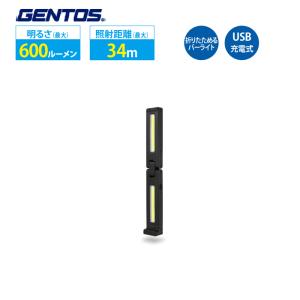 Ganz GZ-BA30 GENTOS ジェントス COB LED 防爆ワークライト USB充電式