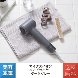 マクセル アンジェリーク プラズマイオンヘアドライヤー ベージュ MXDR