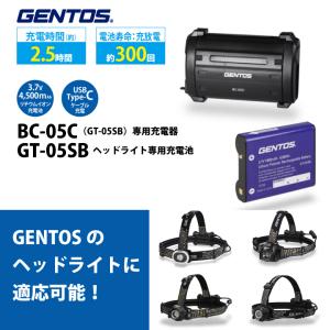 GENTOS（ジェントス） [在庫あり] ヘッドライト用 専用充電池 HW-64SBC