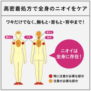 エージーデオ24 デオドラントスティックDX ...の詳細画像2
