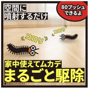 ムカデコロリ 1プッシュ式スプレー 80回分 ...の詳細画像1