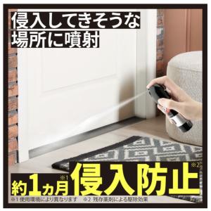 ムカデコロリ 1プッシュ式スプレー 80回分 ...の詳細画像3