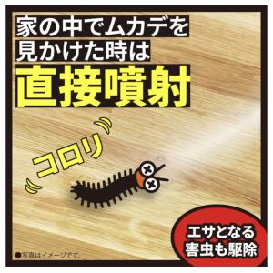 ムカデコロリ 1プッシュ式スプレー 80回分 ...の詳細画像4