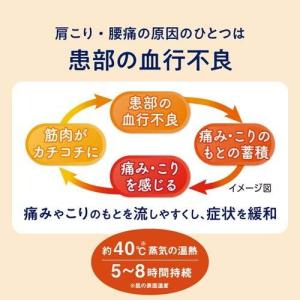 めぐりズム 蒸気の温熱シート 肌に直接貼る 1...の詳細画像1