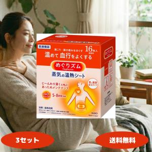 めぐりズム 蒸気の温熱シート 肌に直接貼る 16枚入 3セット 外箱なし めぐリズム 無香料 腰痛 肩こり
