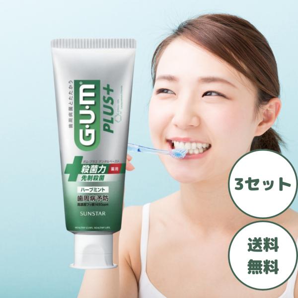 ガム プラス デンタルペースト ハーブミント 120g 3個セット サンスター GUM 歯磨き粉 オ...
