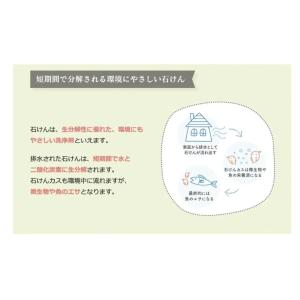 シャボン玉 スノール つめかえ用 10セット ...の詳細画像4