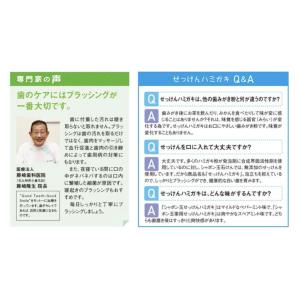 シャボン玉 歯磨き粉 薬用 せっけんハミガキ ...の詳細画像3