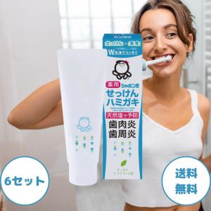 シャボン玉 歯磨き粉 薬用 せっけんハミガキ 80g 6セット シャボン玉石けん 歯磨き 歯磨き粉 塩 シャボン玉石けん歯磨き 歯周炎 歯周病 医薬部外品 フッ素なし