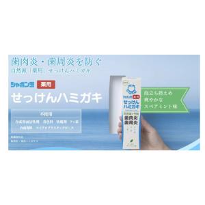 シャボン玉 歯磨き粉 薬用 せっけんハミガキ ...の詳細画像1