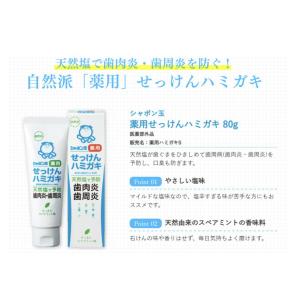 シャボン玉 歯磨き粉 薬用 せっけんハミガキ ...の詳細画像2