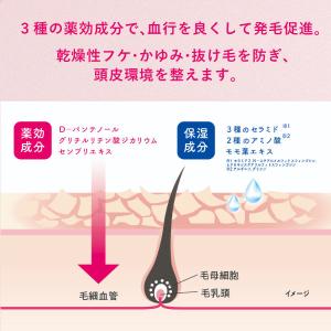 柳屋本店 セラプリエ 薬用育毛 頭皮しっとりロ...の詳細画像4
