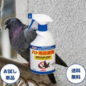 バードクリンスプレー イカリ消毒 1セット 鳩よけ 鳩 忌避剤 ハト スプレー 撃退 鳩 日本製 国産 ベランダ ハト除け 鳩除け 鳥除け 巣 糞 フン 忌避 業務用