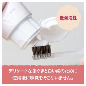 アラウ 歯磨き粉 ハミガキ 120g 4セット...の詳細画像4