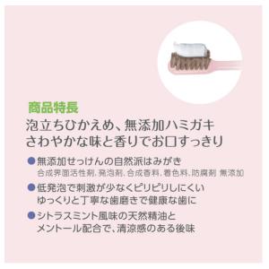 アラウ 歯磨き粉 ハミガキ 120g 4セット...の詳細画像5