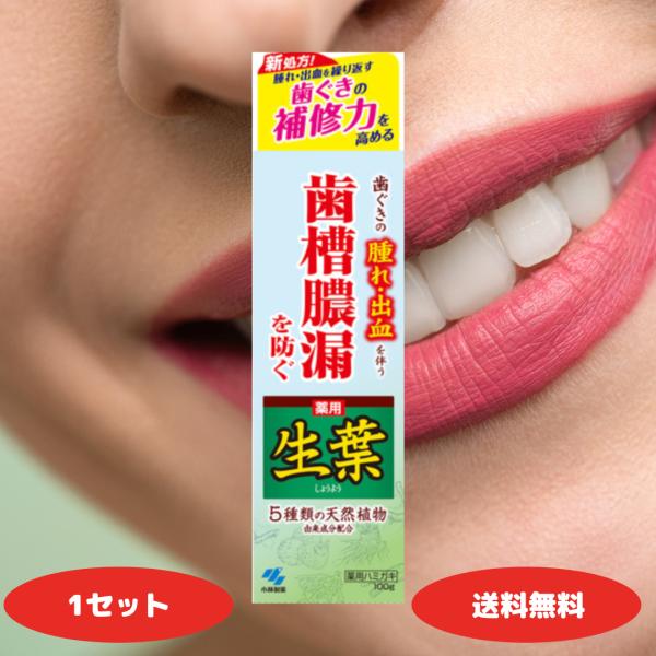 生葉 歯磨き粉 100g 1個 薬用歯みがき 歯槽膿漏 知覚過敏 和漢ハーブの香味 薬用ハミガキ 歯...