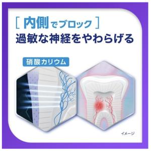 シュミテクト 薬用シュミテクト プラチナプロテ...の詳細画像5