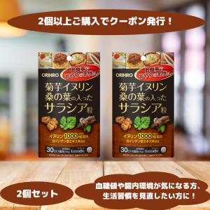 オリヒロ 菊芋イヌリン 桑の葉 サラシア粒 血糖値サポート 30日分 2個セット 血糖値ケア 糖質対策 腸内環境改善 糖質吸収を抑える｜生活のエッセンス
