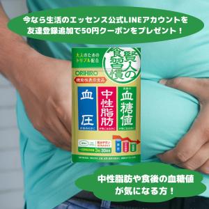 サンヘルス 菊芋イヌリン糖質対策 30包 食後の血糖値の上昇を抑える