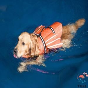 犬用ライフジャケット ペットライフジャケット ...の詳細画像1