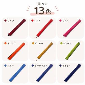 ライフジャケット 釣り ウエスト 手動膨張式 ベルトタイプ 腰巻き式 救命胴衣 浮き具 笛付き 作業 防災用 CE認証済
