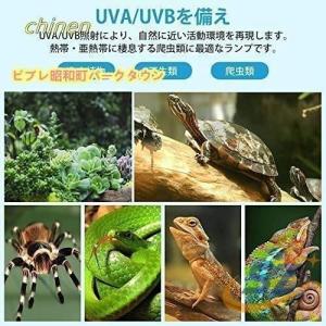 亀ライト 両生類用ライト 無段階調光 25W+...の詳細画像4