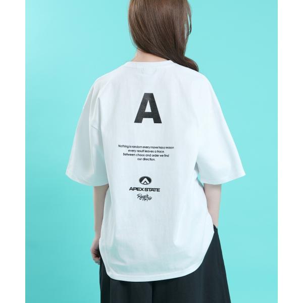 Tシャツ メンズ SIDEWAY STANCE サイドウェイスタンス 半袖 カットソー バックプリン...