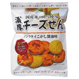 濃厚チーズせん 関口醸造 35g×6袋 送料無料 
