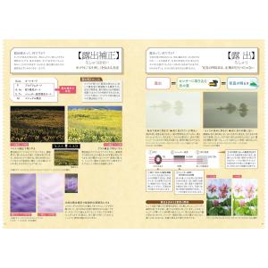 写真ライフ 2026年7月号 NO.145 夏号の詳細画像3
