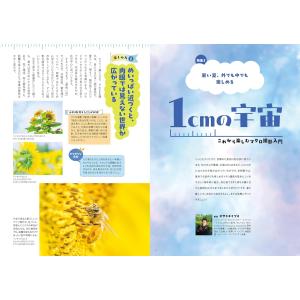 写真ライフ 2026年7月号 NO.145 夏号の詳細画像4